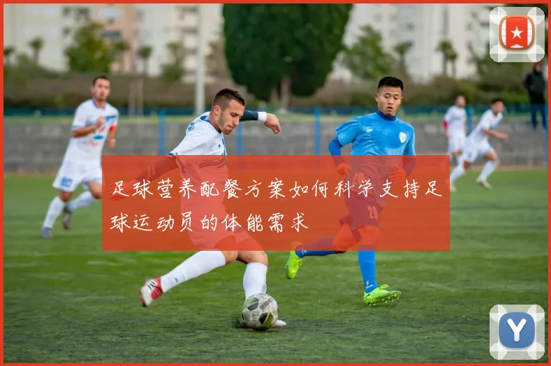 足球营养配餐方案如何科学支持足球运动员的体能需求