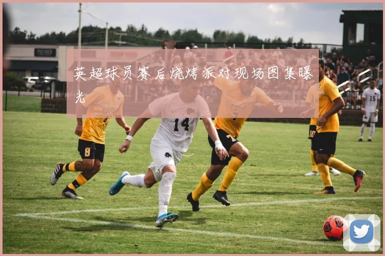 英超球员赛后烧烤派对现场图集曝光