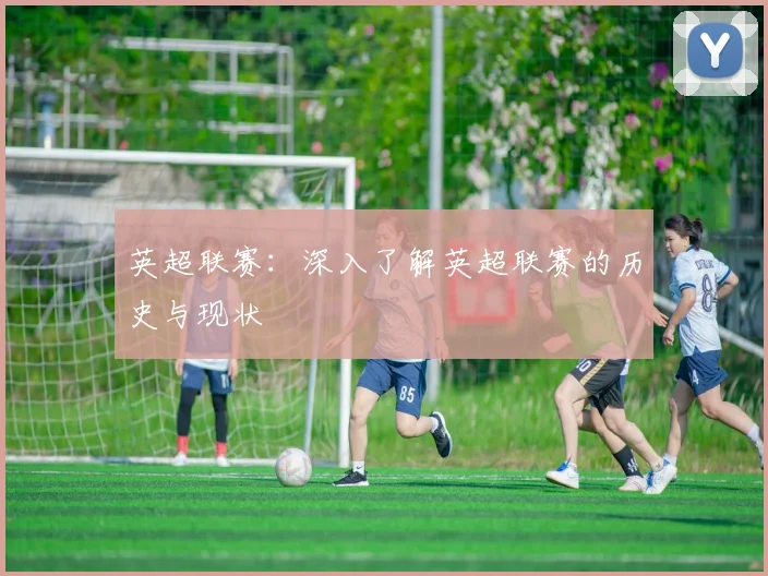 英超联赛：深入了解英超联赛的历史与现状